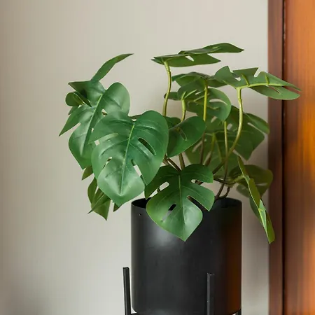 公寓 New Near 013 Poppodium With Fast Wifi *