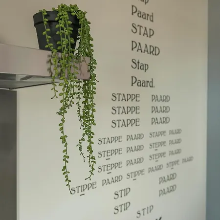 Apartment New Near 013 Poppodium With Fast Wifi *