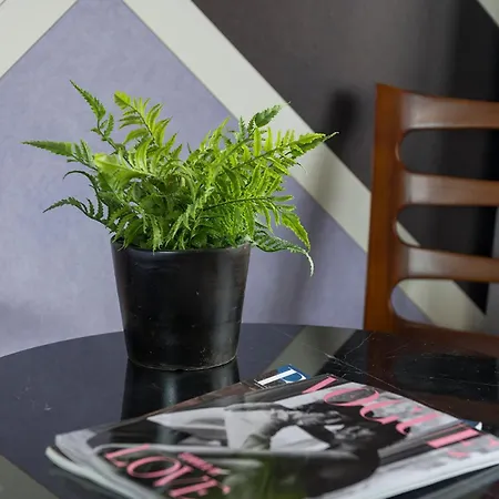 New Near 013 Poppodium With Fast Wifi 提耳堡