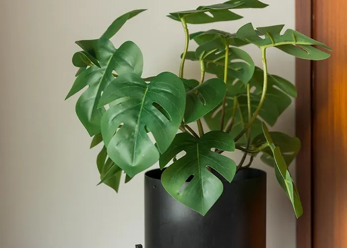 Apartamento New Near 013 Poppodium With Fast Wifi *