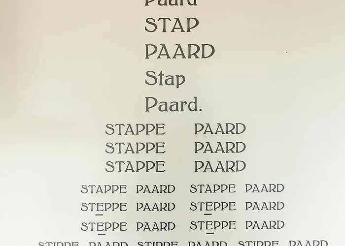 New Near 013 Poppodium With Fast Wifi