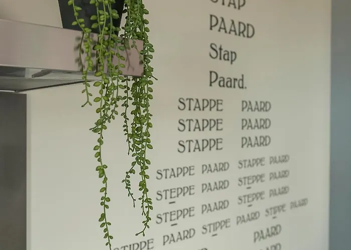 Apartment New Near 013 Poppodium With Fast Wifi *