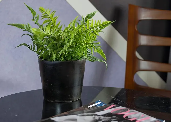 New Near 013 Poppodium With Fast Wifi تيلبورغ